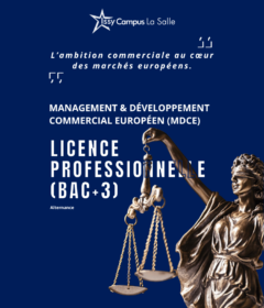 Aperçu document 26_ISSYCAMPUSLASALLE_PLAQUETTE_LICENCE_DROIT_ALTERNANCE